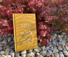 Find Your Flow – Sushma Sagar
